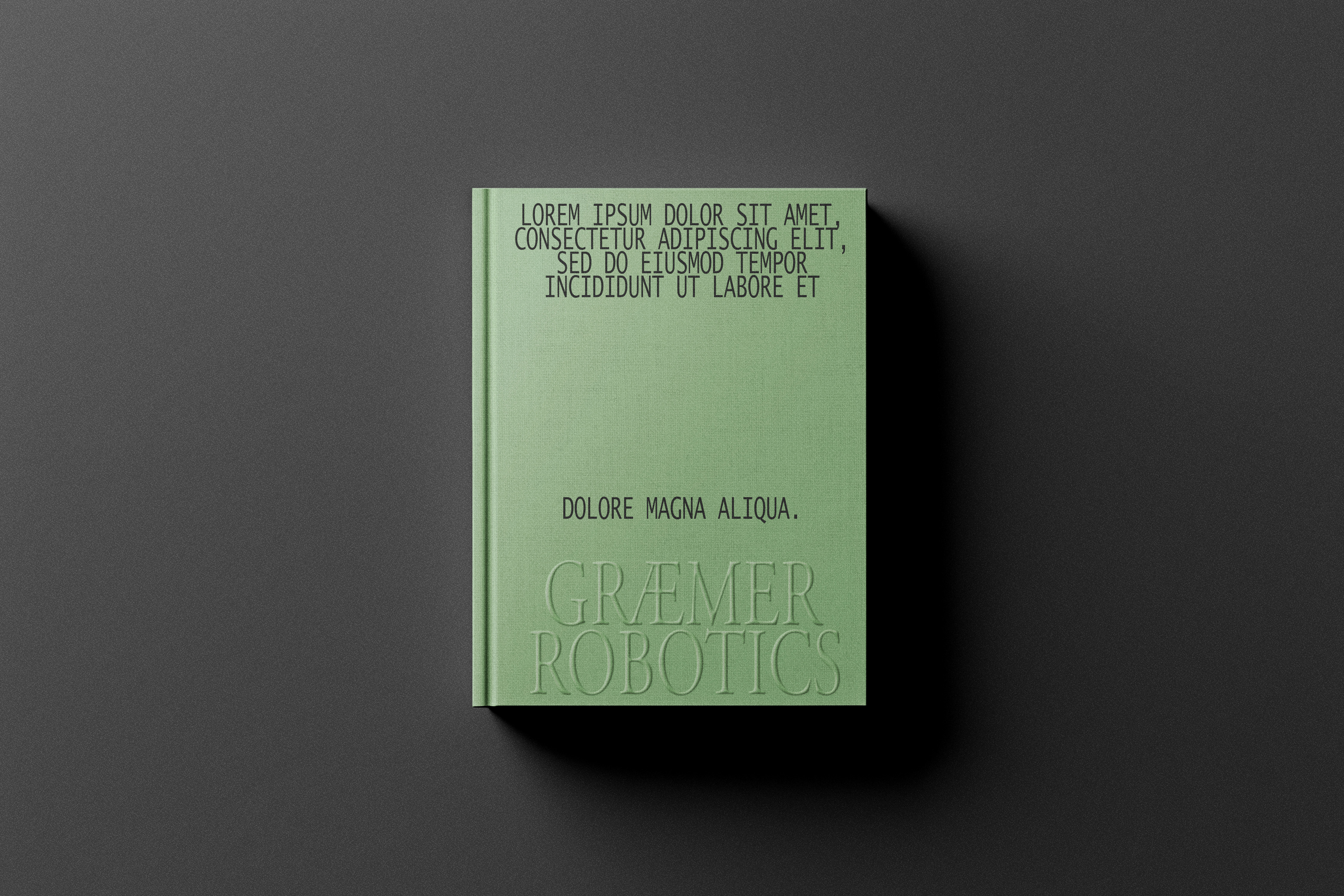 Graemer Branding Book